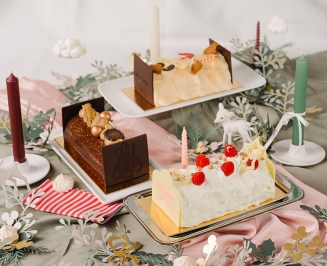 Bûches mousse Fischer 