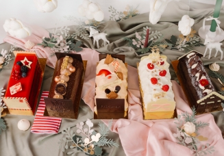 Fischer bûches mousse 2025